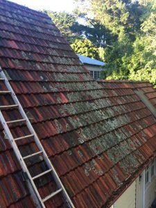 Roof covered with lichen